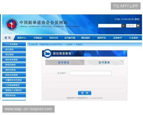 跆拳道学院完善青少年等级考试的评审标准与公开流程,中国青少年跆拳道协会段位